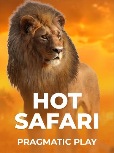 HotSafari